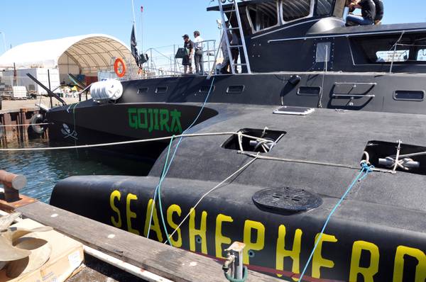 Sea Shepherd, campagna antartica in difesa merluzzo australe