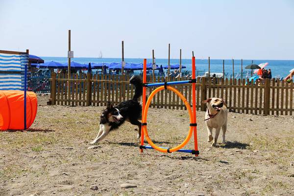 Animali: Chiavari, inaugurato Lido di Fido spiaggia per cani