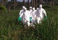 Ebola: Msf, a giorni esplodera' come una bomba © ANSA