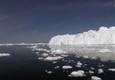 Artico si scioglie, e' rischio catastrofe © ANSA