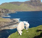 LE VACANZE DEI LETTORI  Isola di Skye, Scozia - foto inviata da Donatella Germani © Ansa