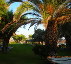 LE VACANZE DEI LETTORI  Resort Cretan Malia Parka, Creta - foto inviata da Ivo Boccardini © Ansa
