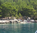 LE VACANZE DEI LETTORI - Isole della Croazia - foto di Melania Barberi © ANSA