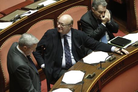 L'Aula del Senato durante la discussione della manovra Ansa/Giuseppe Lami © ANSA
