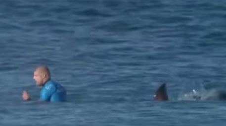Un frame del video in cui Fanning è attaccato dallo squalo © Ansa
