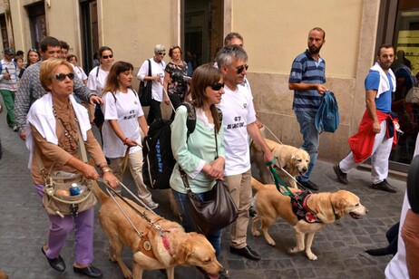 foto su giornata nazionale del cane guida per i ciechi e la