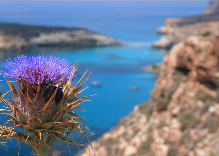 LE VACANZE DEI LETTORI Lampedusa, Sicilia - foto inviata da Francesco Solina (foto: Ansa)