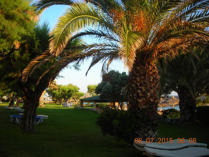 LE VACANZE DEI LETTORI  Resort Cretan Malia Parka, Creta - foto inviata da Ivo Boccardini (foto: Ansa)