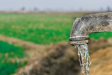 El riego de cultivos agrícolas está entre las causas de la crisis del agua, junto con el cambio climático y el crecimiento demográfico (ANSA)
