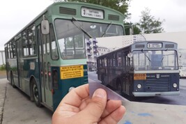 Uno dei bus storici rimessi a nuova vita da Cristian Mazza.Foto dalla pagina Facebook di Tpl Linea